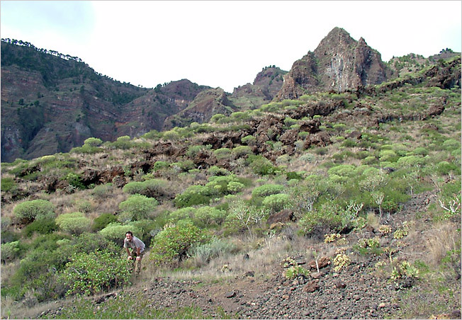 Canary Islands 2004 - expedition