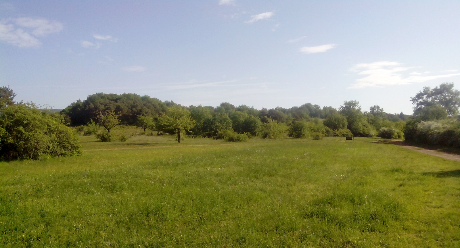 Iberodorcadion fuliginator fuliginator - habitat