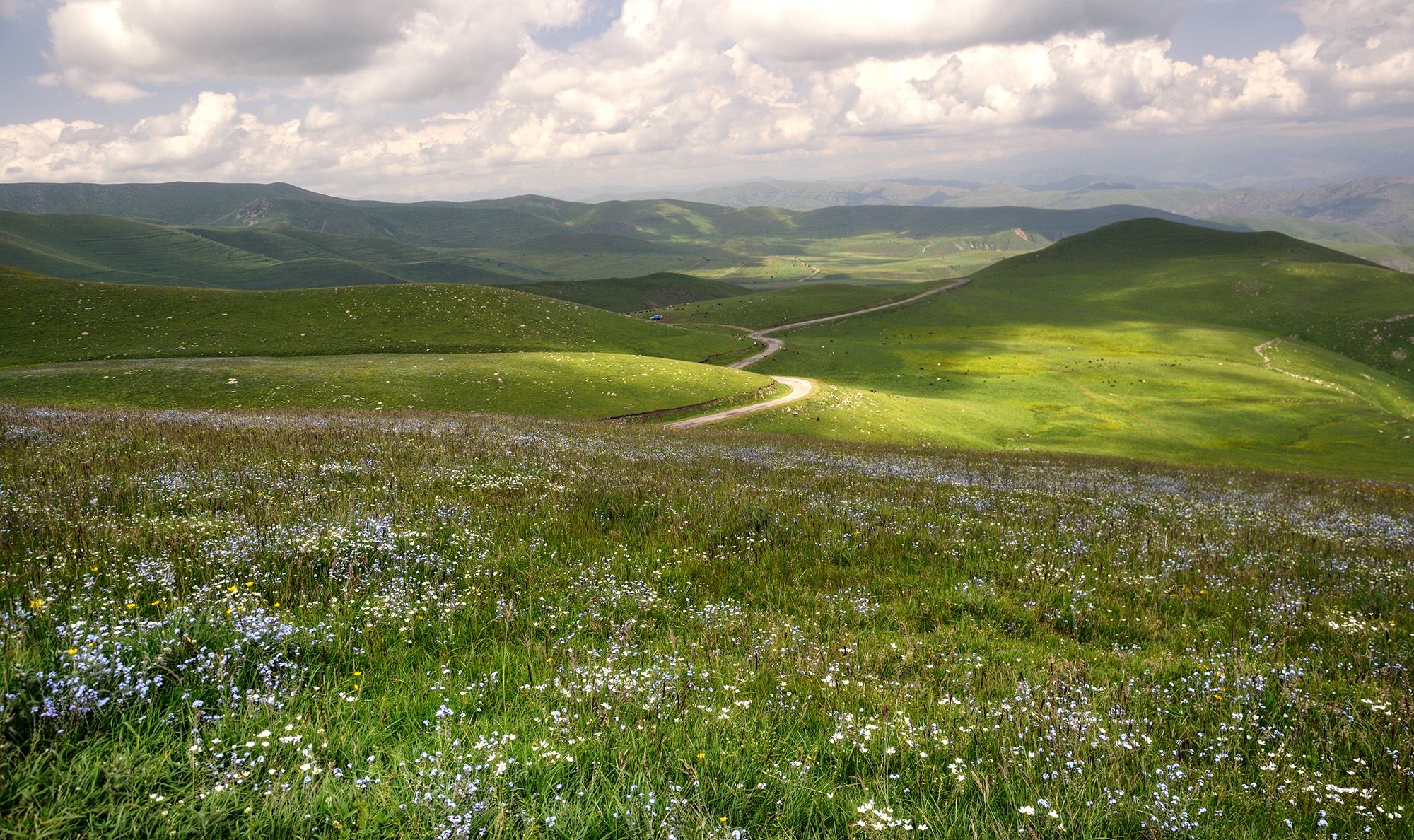 Mountain meadows in Vaghatur environs