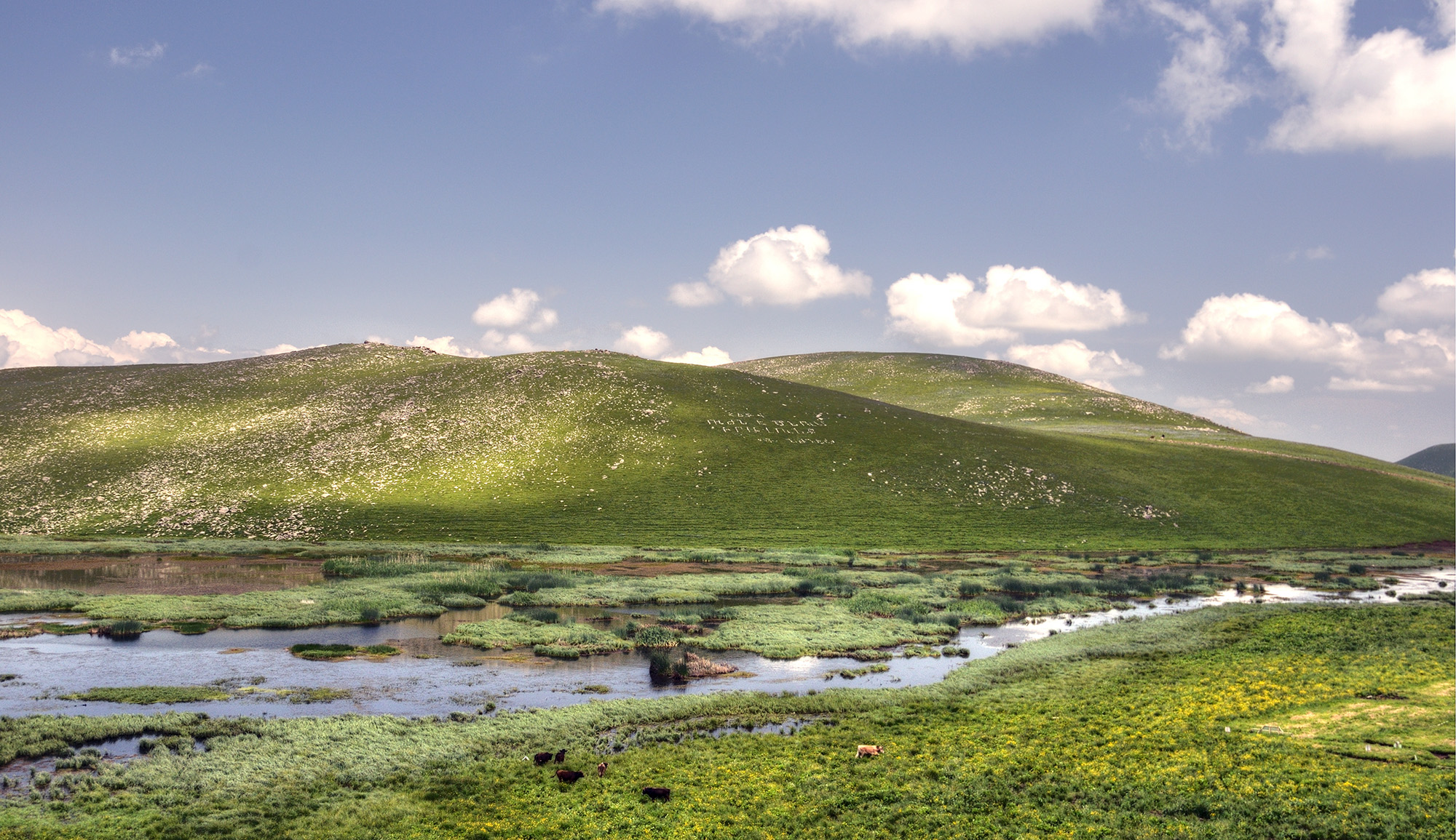 Mountain meadows in Vaghatur environs