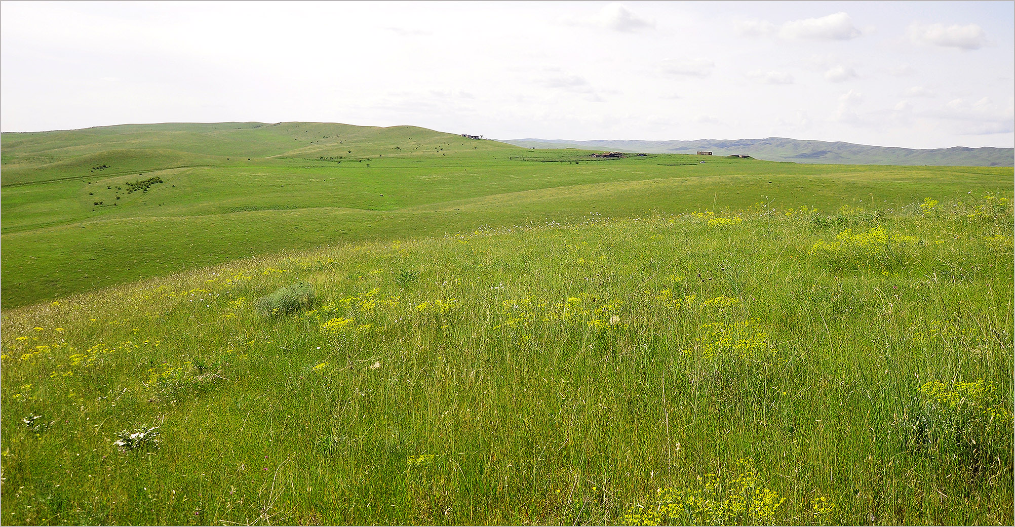 Steppes in Kasristskali environs