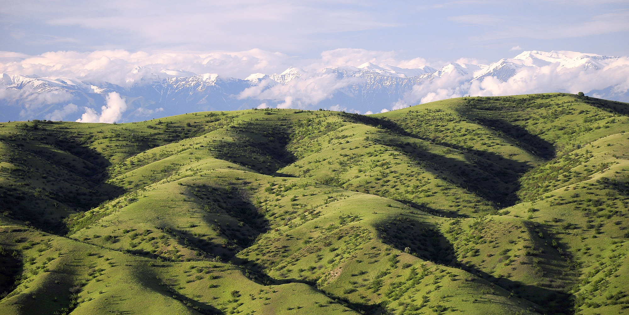 Steppes in Kasristskali environs