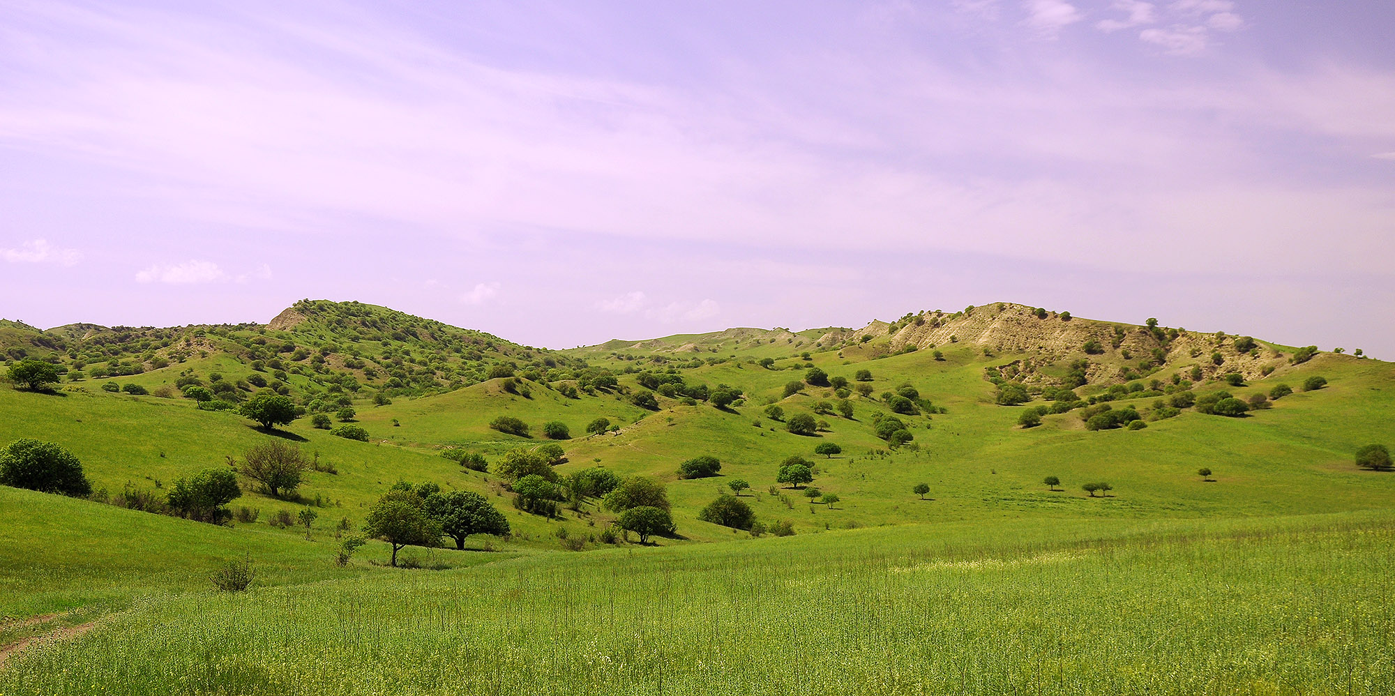 Steppes in Kasristskali environs