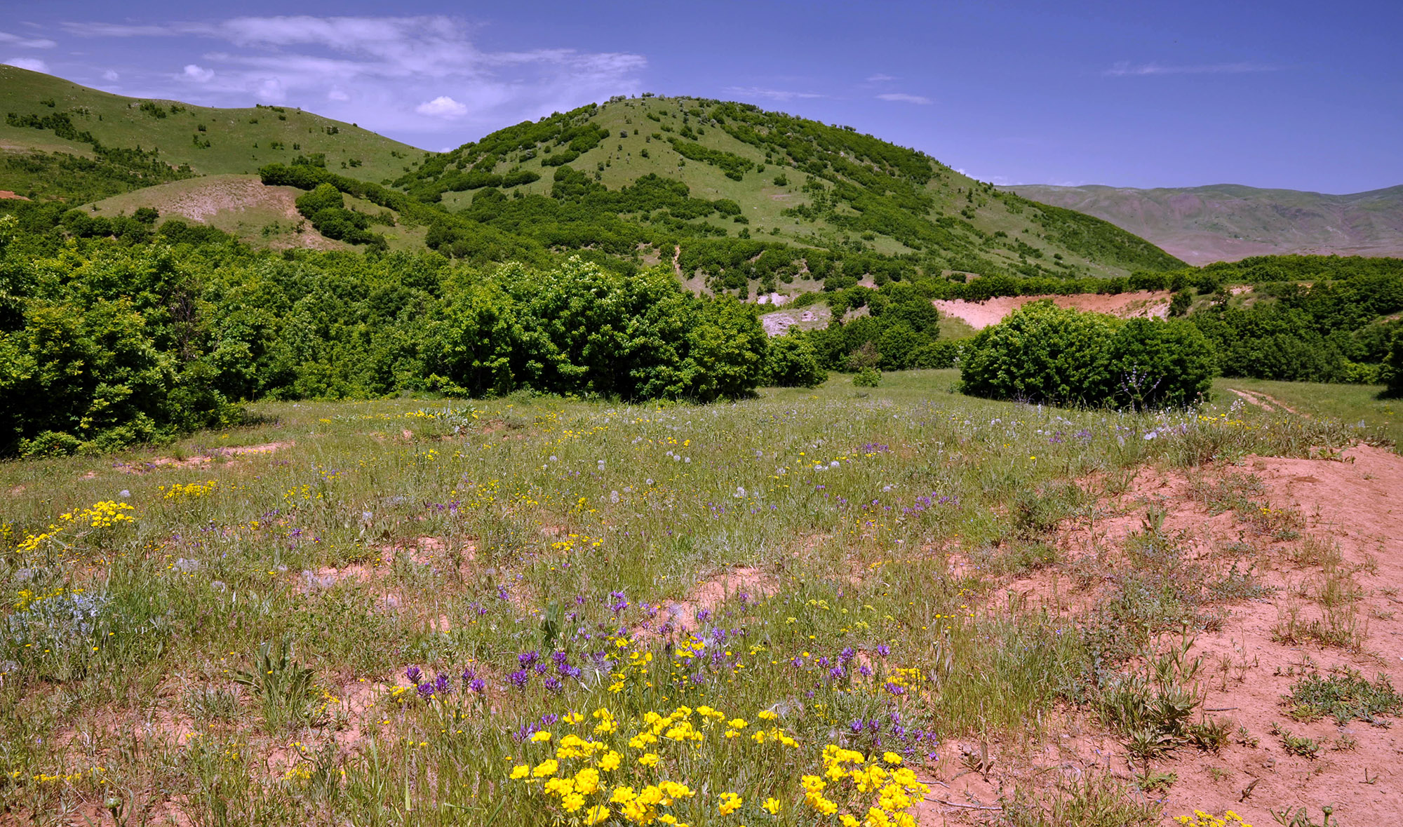 Buğlan Geçidi environs