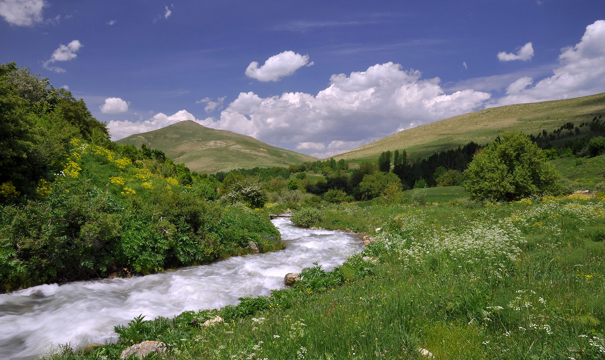 Mountain valley in Güreşçi environs