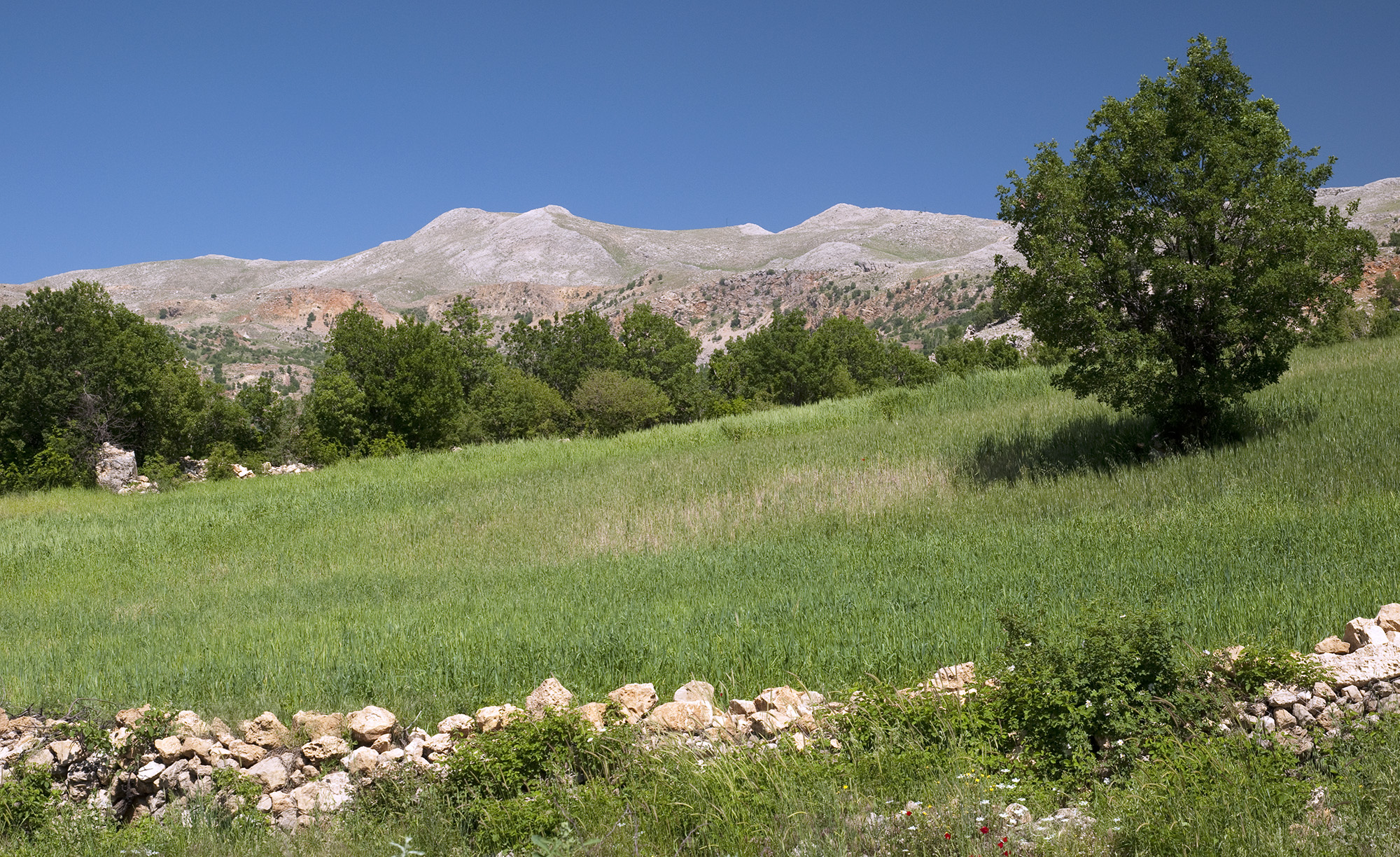 Karadut village environs