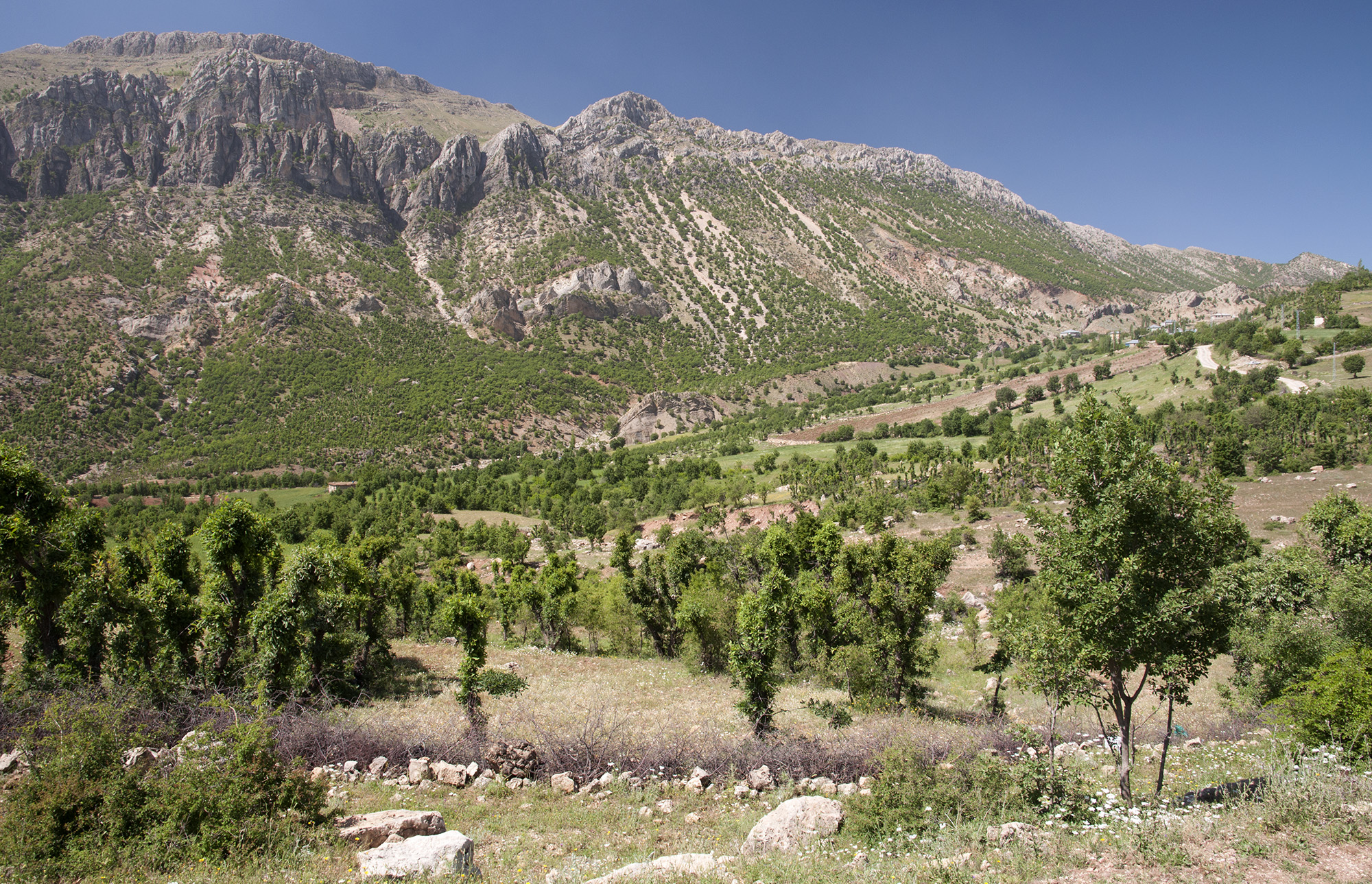 Karadut village environs