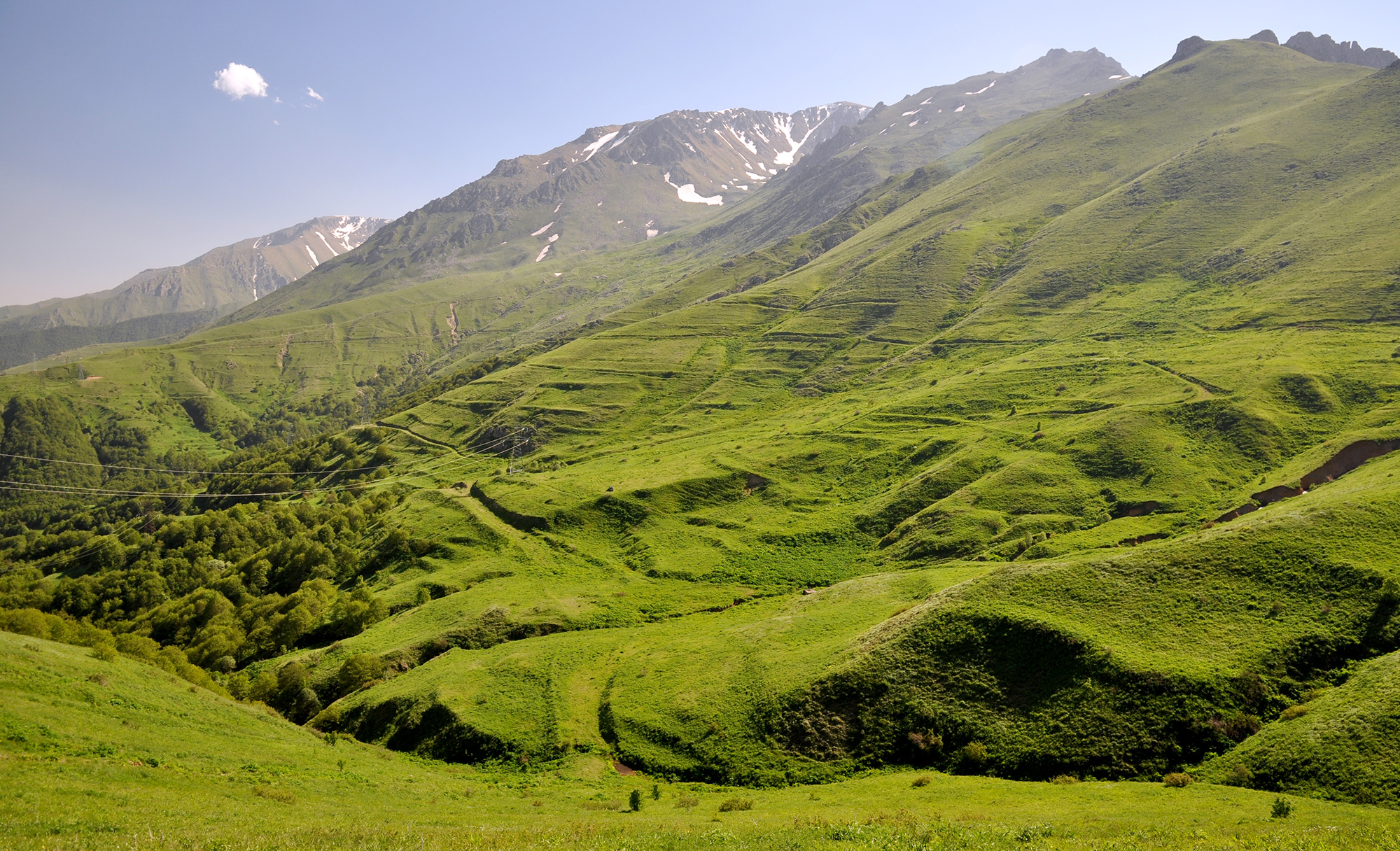 Mountain meadows in Kajaran environs