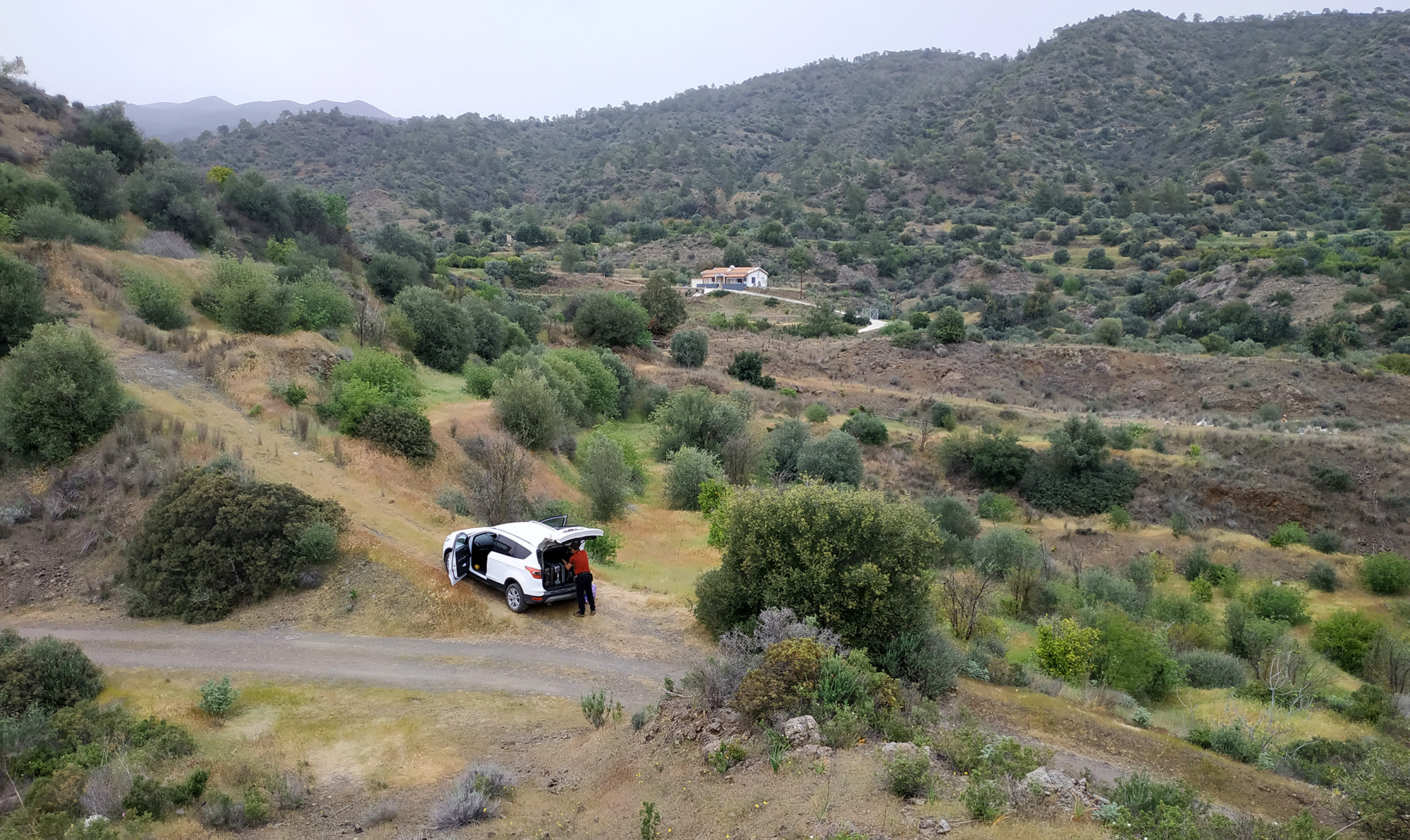 Trichoferus antonioui - habitat