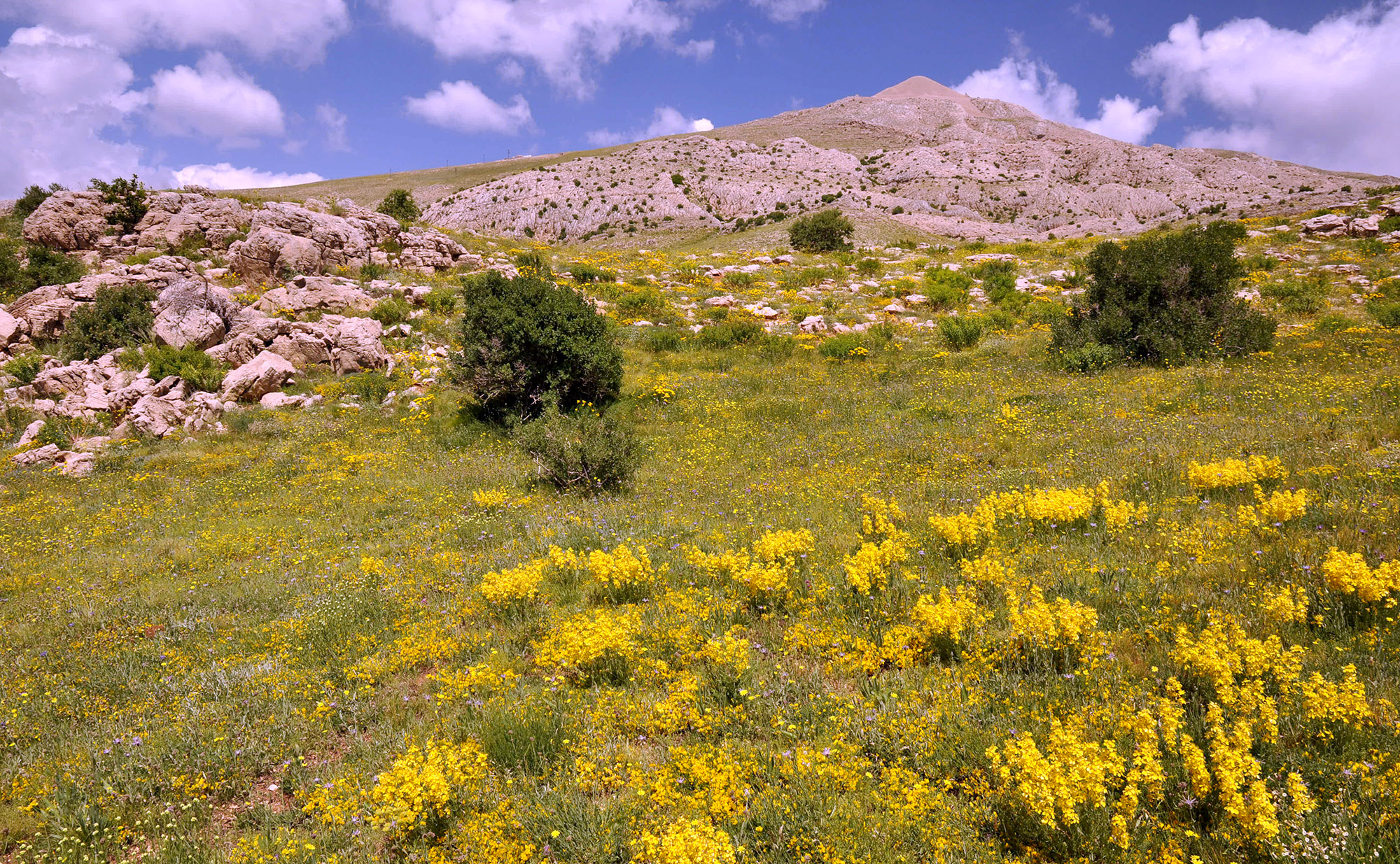 Nemrut Dagi - locality